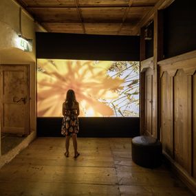 Ausstellung IDYLLE, Film «Das wundersüsse Sehen» von Marieken Verheyen und Peter Hansen (Bild: Daniel Ammann)