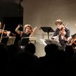 Konzert «In Arkadien» mit dem Mandelring Quartett (Bild: Anja Köhler)